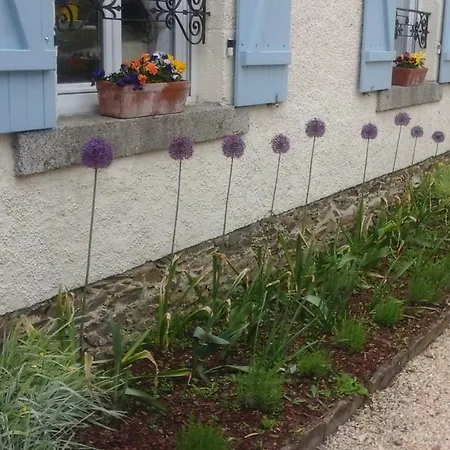 Lemon Tree House * LʼAbsie