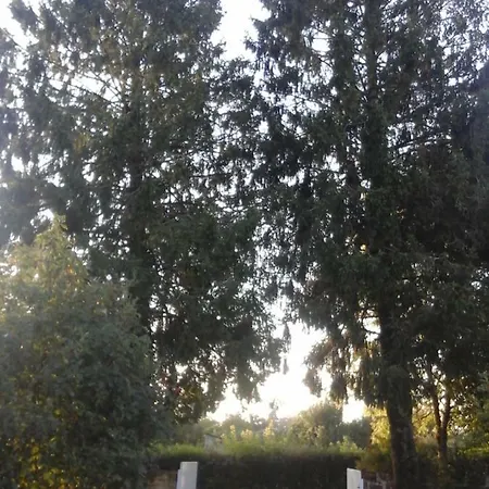 Penzion Lemon Tree House LʼAbsie